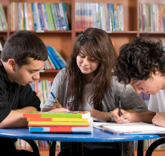 Marcelo Madureira Montroni