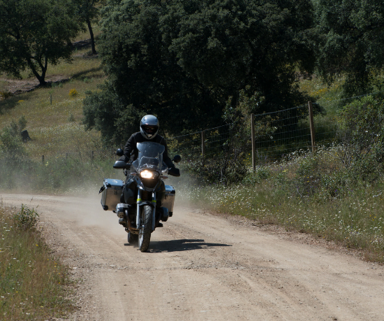 Marcelo Salgueiro Bruno