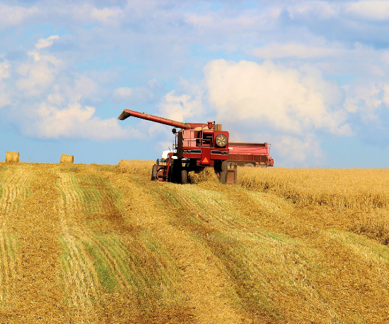 Carlos Alberto Arges Júnior apresenta estratégias essenciais para transformar sua fazenda em uma empresa lucrativa e sustentável.