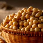 Soja em Mato Grosso: como ciência e tecnologia transformaram a produtividade no campo