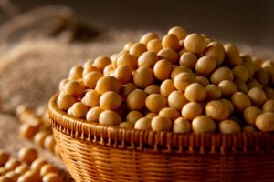 Soja em Mato Grosso: como ciência e tecnologia transformaram a produtividade no campo