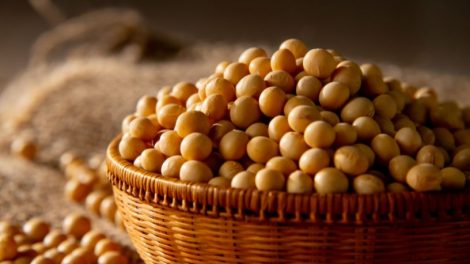 Soja em Mato Grosso: como ciência e tecnologia transformaram a produtividade no campo