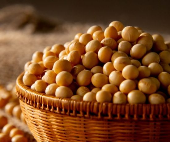 Soja em Mato Grosso: como ciência e tecnologia transformaram a produtividade no campo