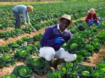 Tecnologia Impulsiona a Agricultura Familiar no Mato Grosso e Abre Novos Horizontes