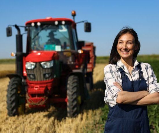Mato Grosso lidera criação de empregos no agronegócio brasileiro e redefine panorama econômico
