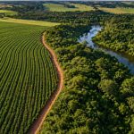 Regularização ambiental no campo ganha força em Mato Grosso com tecnologia e mutirões estratégicos