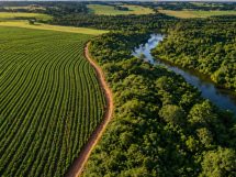 Regularização ambiental no campo ganha força em Mato Grosso com tecnologia e mutirões estratégicos