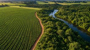 Regularização ambiental no campo ganha força em Mato Grosso com tecnologia e mutirões estratégicos