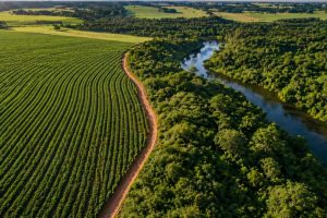 Regularização ambiental no campo ganha força em Mato Grosso com tecnologia e mutirões estratégicos