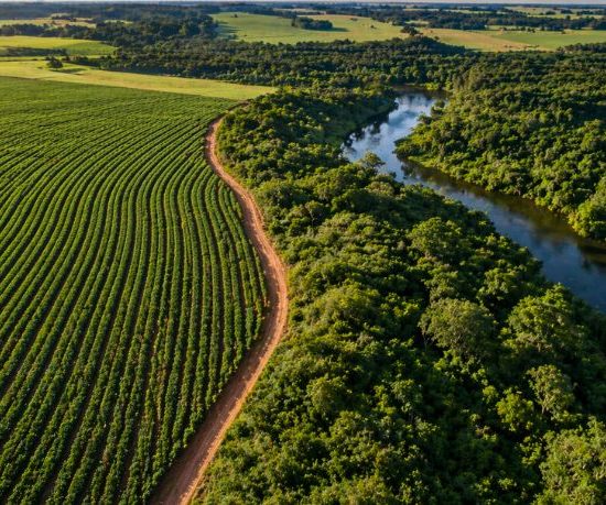 Regularização ambiental no campo ganha força em Mato Grosso com tecnologia e mutirões estratégicos