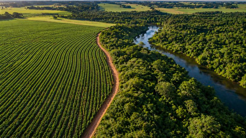 Regularização ambiental no campo ganha força em Mato Grosso com tecnologia e mutirões estratégicos