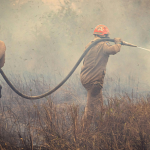 Pantanal entra em emergência ambiental e acende alerta para uma temporada de incêndios que pode ser devastadora em Mato Grosso