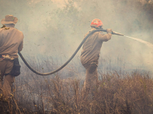 Pantanal entra em emergência ambiental e acende alerta para uma temporada de incêndios que pode ser devastadora em Mato Grosso