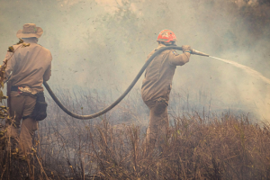 Pantanal entra em emergência ambiental e acende alerta para uma temporada de incêndios que pode ser devastadora em Mato Grosso