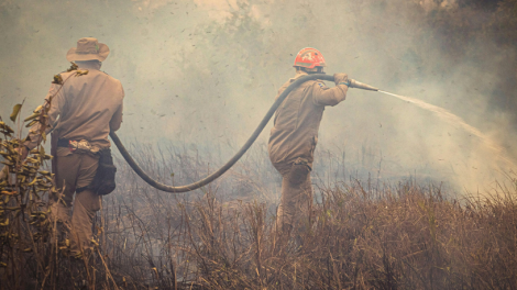 Pantanal entra em emergência ambiental e acende alerta para uma temporada de incêndios que pode ser devastadora em Mato Grosso