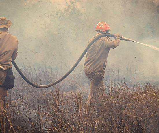 Pantanal entra em emergência ambiental e acende alerta para uma temporada de incêndios que pode ser devastadora em Mato Grosso