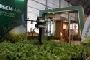 Inovação no agronegócio e os rumos da sustentabilidade no setor produtivo em Cuiabá