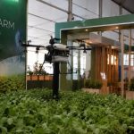 Inovação no agronegócio e os rumos da sustentabilidade no setor produtivo em Cuiabá