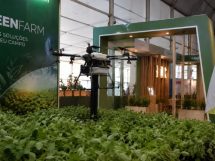 Inovação no agronegócio e os rumos da sustentabilidade no setor produtivo em Cuiabá