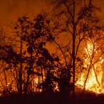 Mato Grosso entra hoje no período proibido de queimadas na Amazônia e no Cerrado