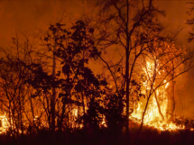 Mato Grosso entra hoje no período proibido de queimadas na Amazônia e no Cerrado