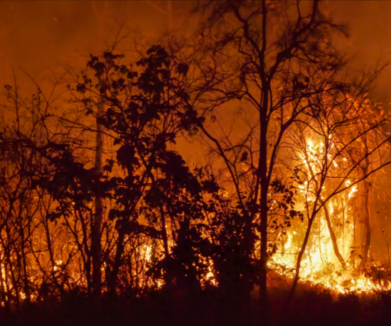 Mato Grosso entra hoje no período proibido de queimadas na Amazônia e no Cerrado