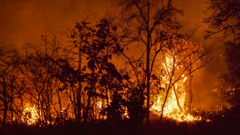 Mato Grosso entra hoje no período proibido de queimadas na Amazônia e no Cerrado