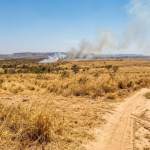 Calor de até 40°C aumenta risco de queimadas em Mato Grosso e exige atenção de moradores e produtores
