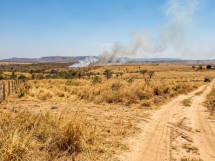 Calor de até 40°C aumenta risco de queimadas em Mato Grosso e exige atenção de moradores e produtores