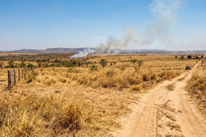 Calor de até 40°C aumenta risco de queimadas em Mato Grosso e exige atenção de moradores e produtores