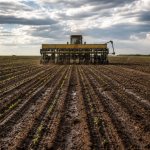 Máquina agrícola realiza o plantio de soja em uma lavoura de Mato Grosso no início da safra 2026/27