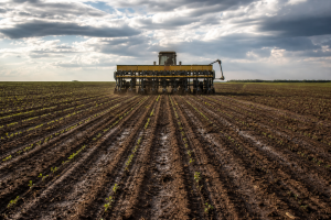 Máquina agrícola realiza o plantio de soja em uma lavoura de Mato Grosso no início da safra 2026/27