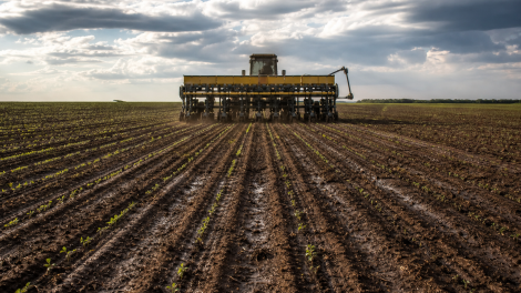 Máquina agrícola realiza o plantio de soja em uma lavoura de Mato Grosso no início da safra 2026/27