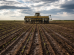 Máquina agrícola realiza o plantio de soja em uma lavoura de Mato Grosso no início da safra 2026/27