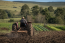 Trator prepara o solo de uma pequena propriedade rural em Bagé para o cultivo de hortaliças.