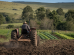 Trator prepara o solo de uma pequena propriedade rural em Bagé para o cultivo de hortaliças.