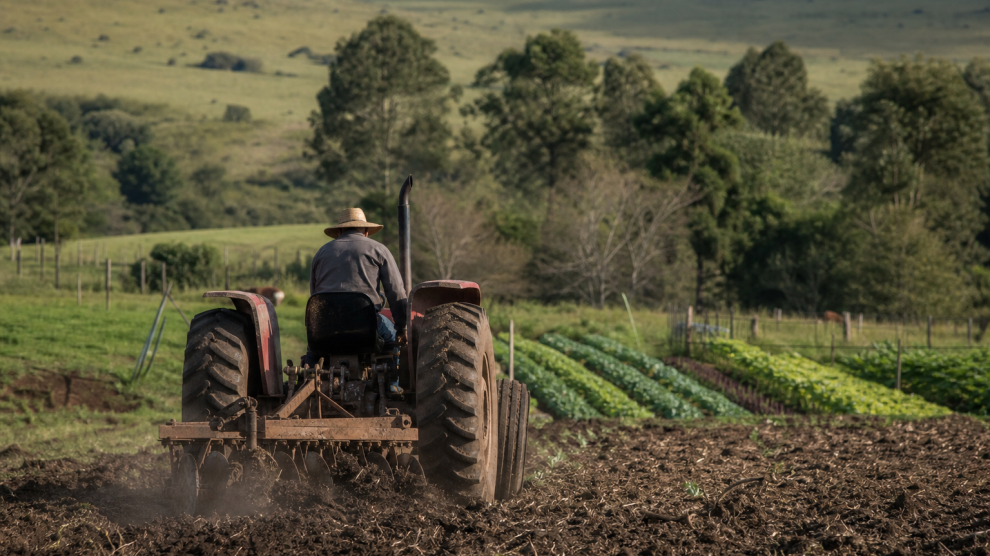 Trator prepara o solo de uma pequena propriedade rural em Bagé para o cultivo de hortaliças.