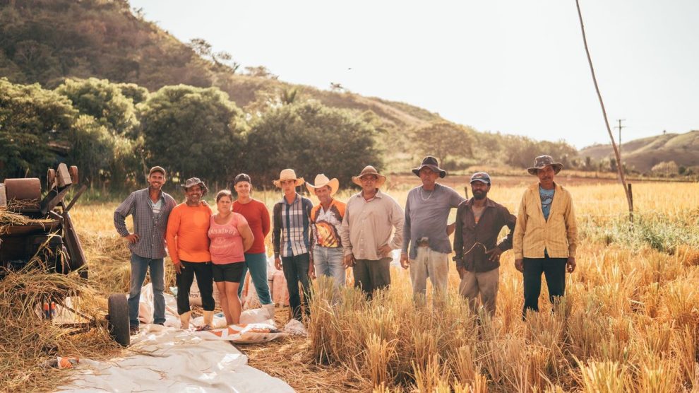 Grupo diverso de agricultores reunido em um campo iluminado pelo sol.